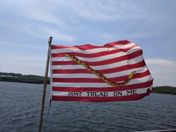 IMG_20180618_134545.jpg