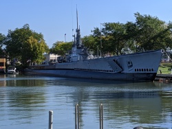 IMG_20190919_101932.jpg