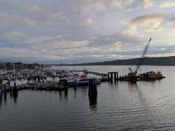 IMG_20200119_084306.jpg