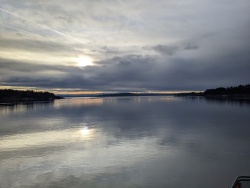 IMG_20200119_090418.jpg