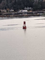 IMG_20200119_090736.jpg