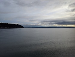 IMG_20200119_090911.jpg