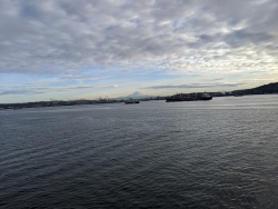 IMG_20200119_145844.jpg