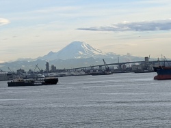 IMG_20200119_145847.jpg