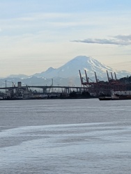 IMG_20200119_145959.jpg