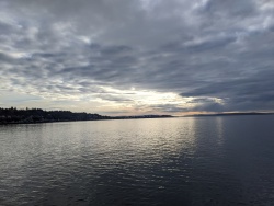 IMG_20200119_150225.jpg