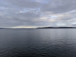 IMG_20200119_150400.jpg