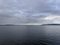 IMG_20200119_150623.jpg
