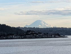 IMG_20200119_150727.jpg