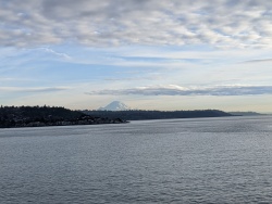 IMG_20200119_150736.jpg