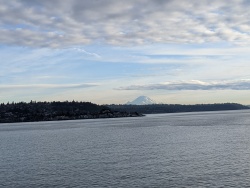 IMG_20200119_150741.jpg