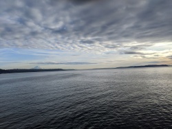 IMG_20200119_150832.jpg