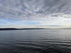 IMG_20200119_150957.jpg