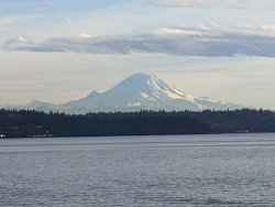 IMG_20200119_151004.jpg
