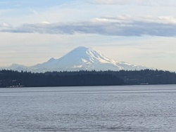 IMG_20200119_151006.jpg