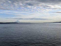 IMG_20200119_151218.jpg