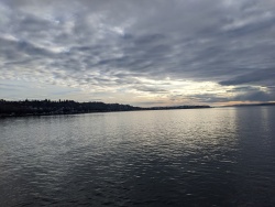 MVIMG_20200119_150234.jpg