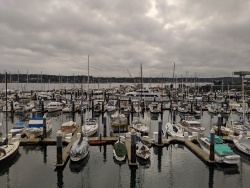 IMG_20200117_154412.jpg