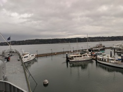 IMG_20200117_154418.jpg