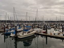 IMG_20200117_155643.jpg