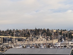IMG_20200119_084255.jpg