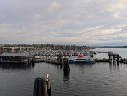 IMG_20200119_084413.jpg