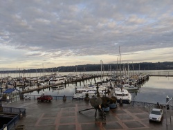 IMG_20200119_155943.jpg