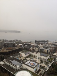 IMG_20200119_111914.jpg
