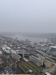 IMG_20200119_112559.jpg