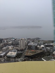 IMG_20200119_112737.jpg