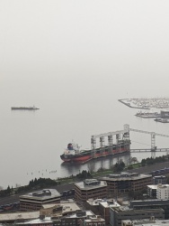 IMG_20200119_113555.jpg