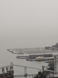 IMG_20200119_113636.jpg