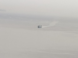 IMG_20200119_115204.jpg
