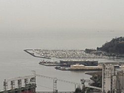 IMG_20200119_115639.jpg