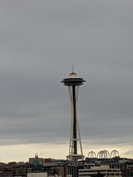 MVIMG_20200119_093634.jpg