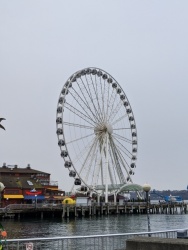 IMG_20200119_101723.jpg
