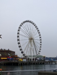 IMG_20200119_101725.jpg