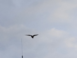 IMG_20200119_085153.jpg
