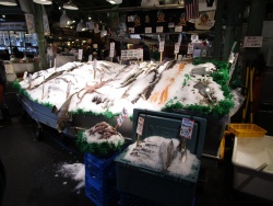 IMG_3289-In-Seattle.jpg