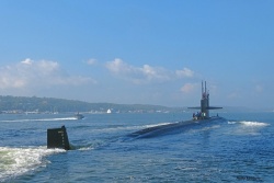 Picture46.jpg