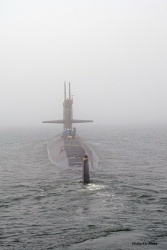 Picture7.jpg