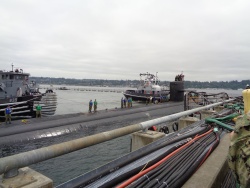 DSC05273.jpg
