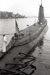 0848104.jpg