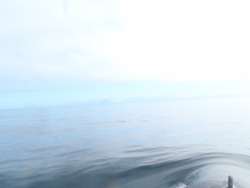 P7110001.jpg