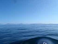 P7110022.jpg