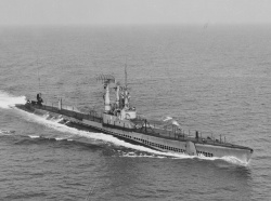 0848114.jpg