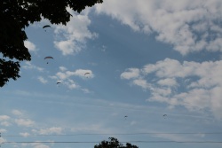 IMG_8618.jpg